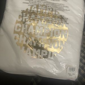 Small size champion Hoodie